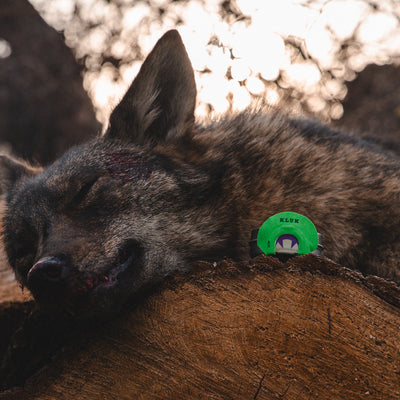 Predator Mouth Calls